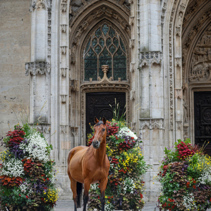 Photographer Jennifer Mayer Rouen  France